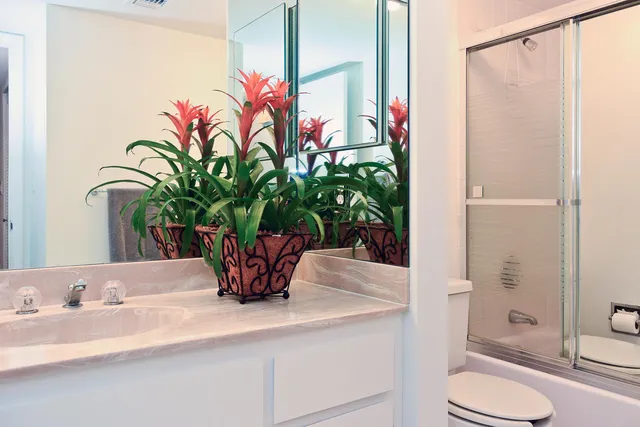 a potted plant sitting next to a bathroom sink
