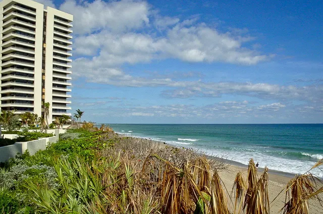 a view of a yard with a building