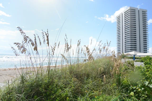 a view of outdoor space with trees