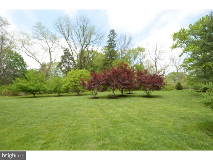 1300 North Valley Road Malvern, PA 19355 - Photo 2 of 24 Back Yard