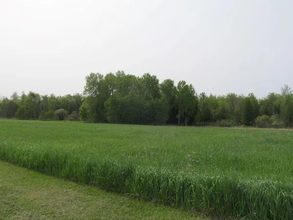 $17,900 | Lot #11 Hemlock Street, McBain, MI 49657