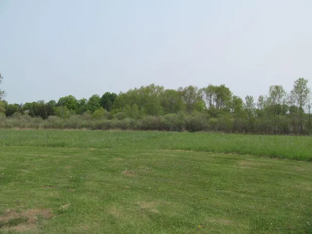 $17,900 | Lot #11 Hemlock Street, McBain, MI 49657