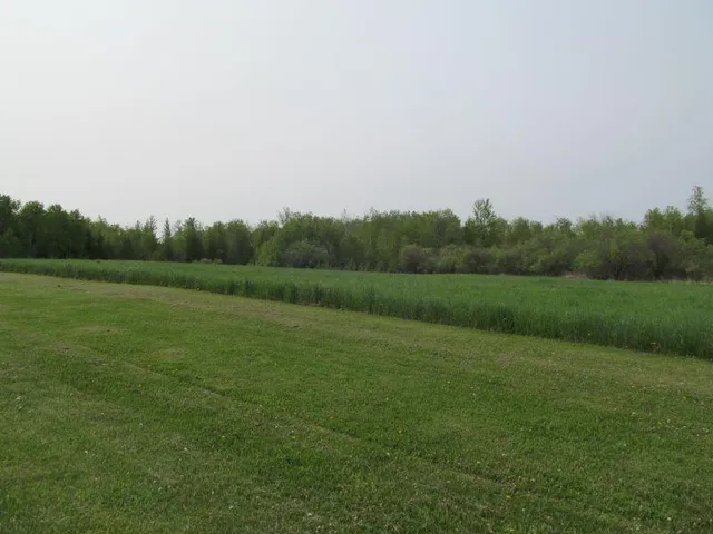 $17,900 | Lot #11 Hemlock Street, McBain, MI 49657