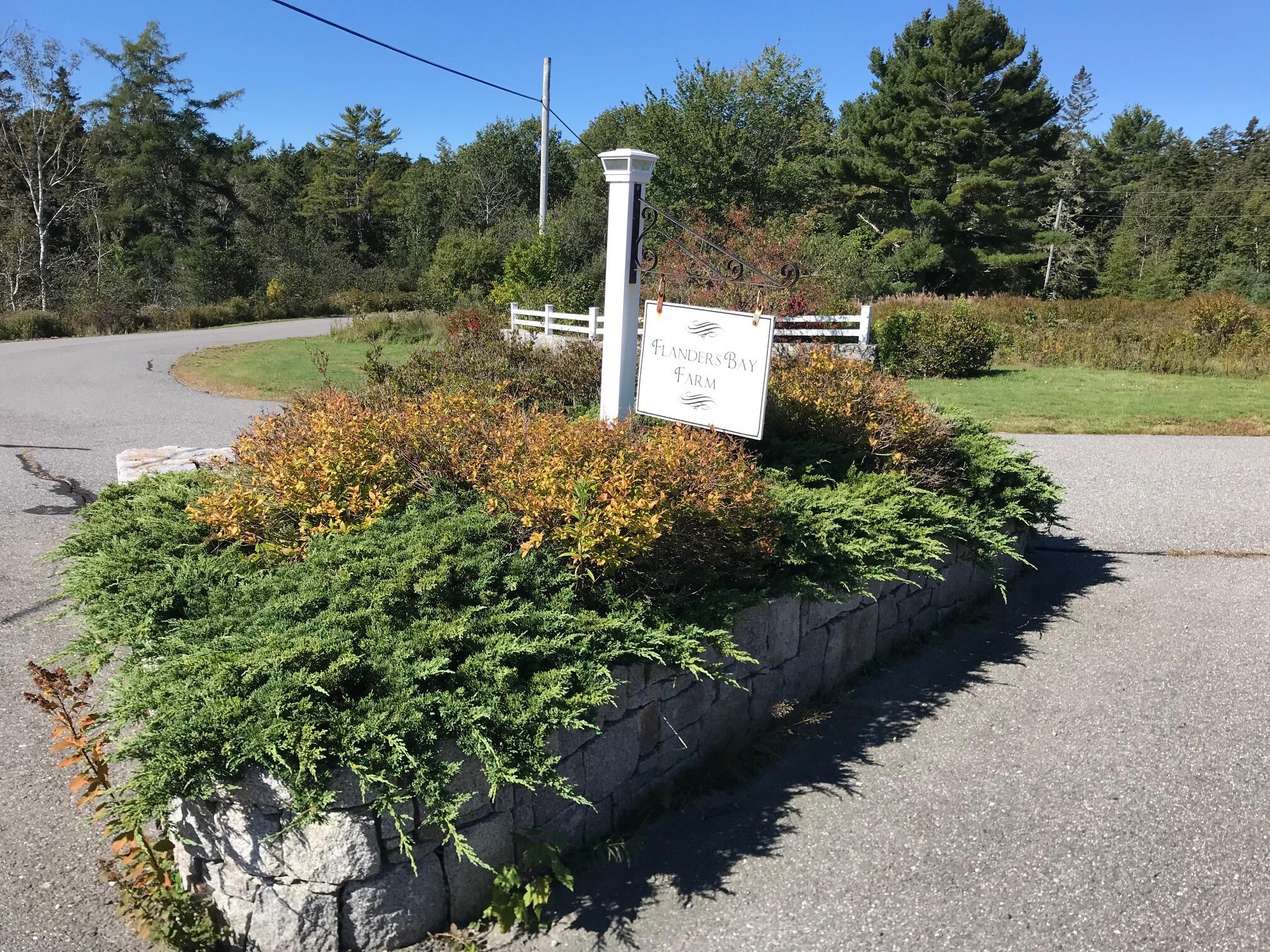 79 Ocean House Road Sullivan, ME 04664 - Photo 1 of 11 IMG_8711