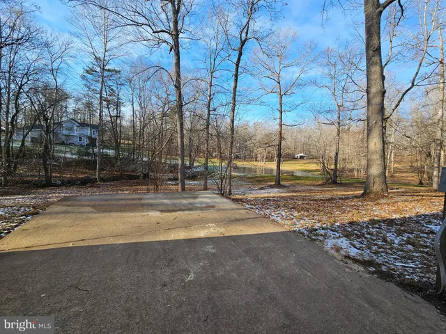 a view of road with large trees