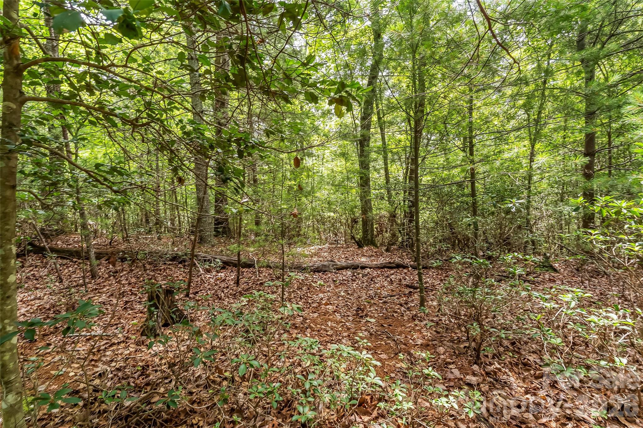 2040 Hampson Road Morganton, NC 28655 - Photo 11 of 14