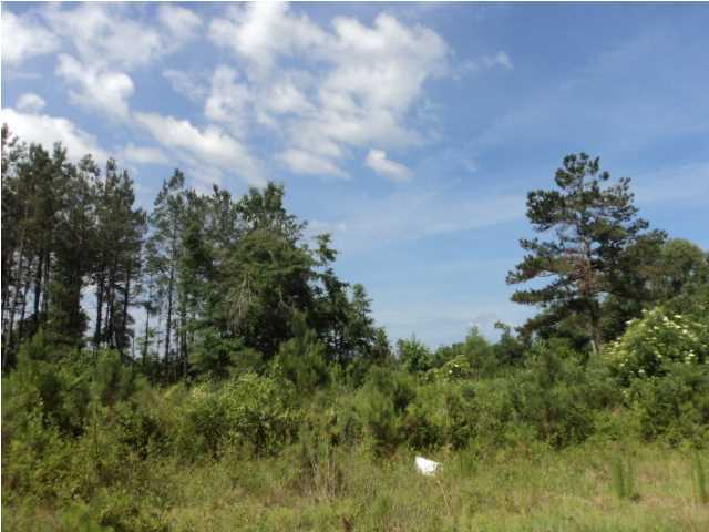 965 Mt Zion Road St. George, SC 29477 - Photo 12 of 13 Additional Photo
