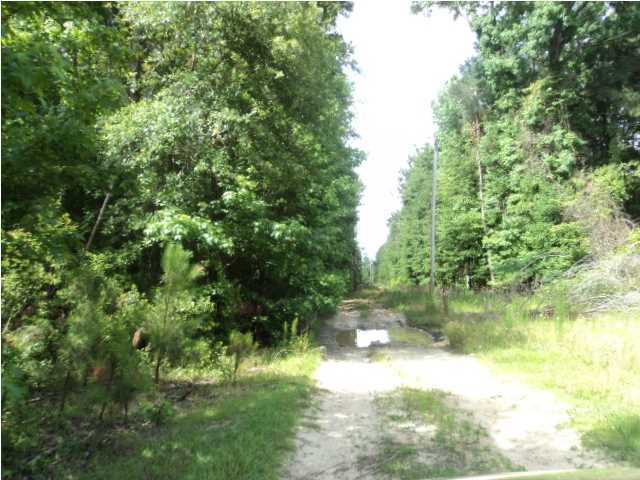 965 Mt Zion Road St. George, SC 29477 - Photo 3 of 13 Additional Photo