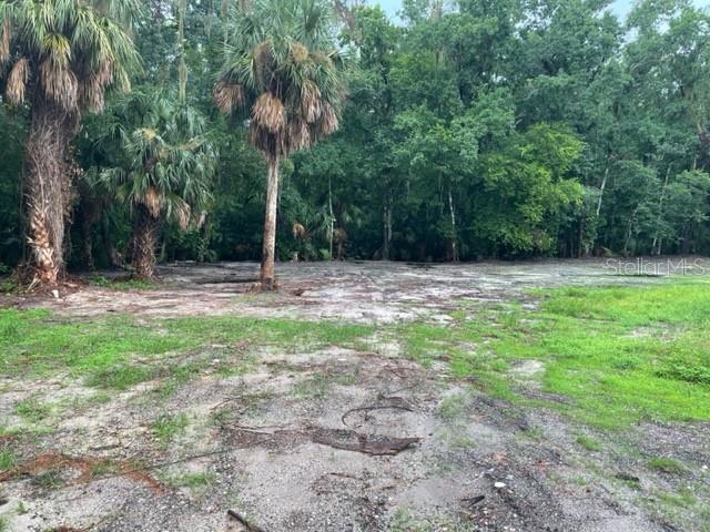 103 Deen Road Bunnell, FL 32110 - Photo 11 of 12 left side of the property from the front