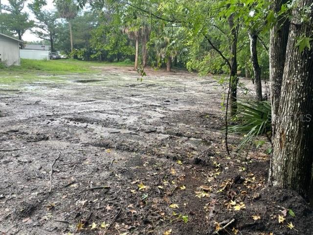 103 Deen Road Bunnell, FL 32110 - Photo 6 of 12 side of the property from the back