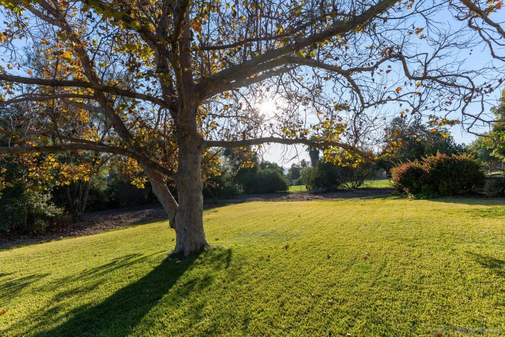 3121 Alta Verde Drive Fallbrook, CA 92028 - Photo 26 of 31 a view of an outdoor space and a yard