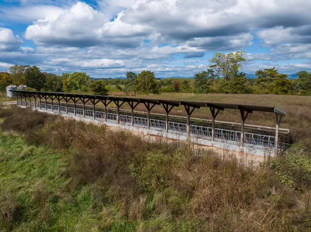a view of a big house with a big yard and potted plants