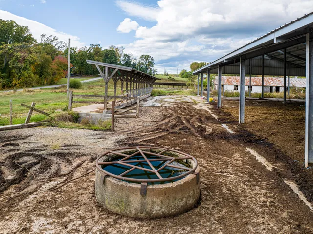 a view of a swimming pool with a garden