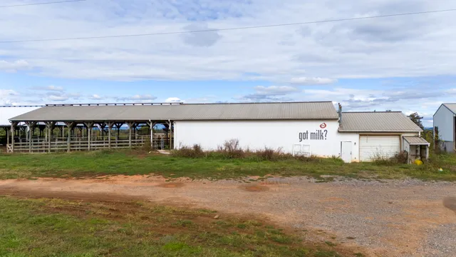 a view of a big yard with palm trees