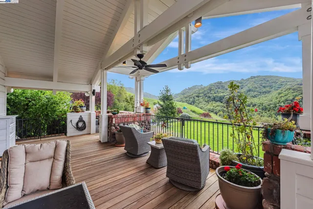 a view of a park with large trees