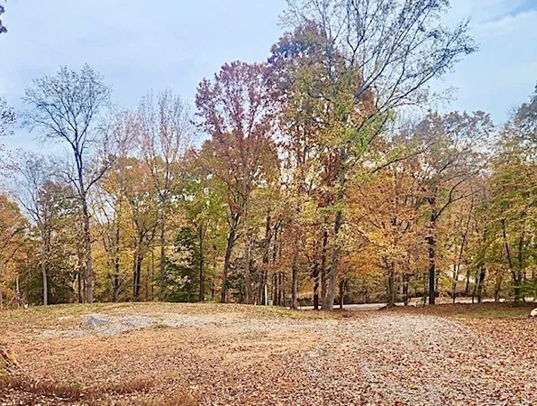a view of a field with trees in the background