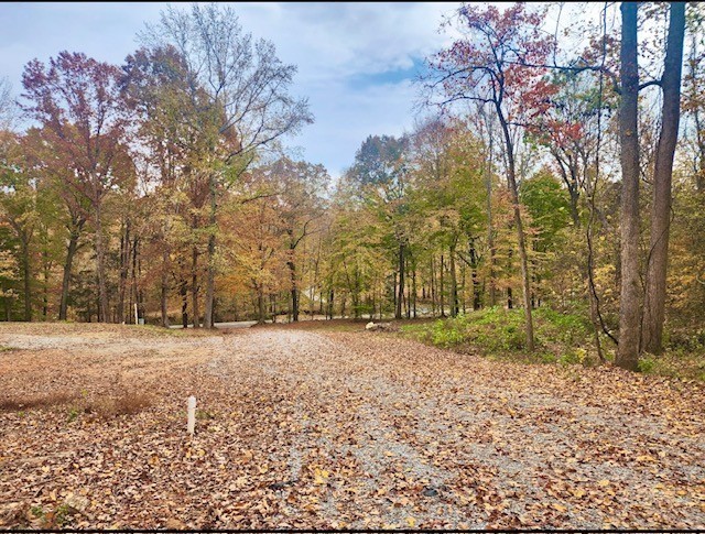 3048 Sweethome Road Chapmansboro, TN 37035 - Photo 4 of 16 a backyard of a house with large trees