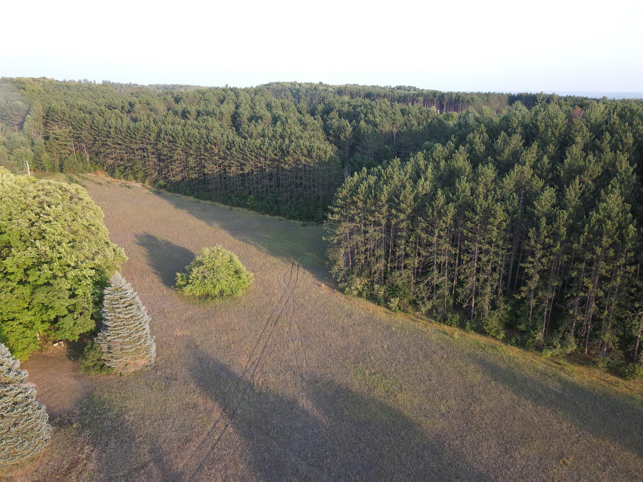 8719 Puffer Road Southwest Fife Lake, MI 49633 - Photo 3 of 126 DJI_0728
