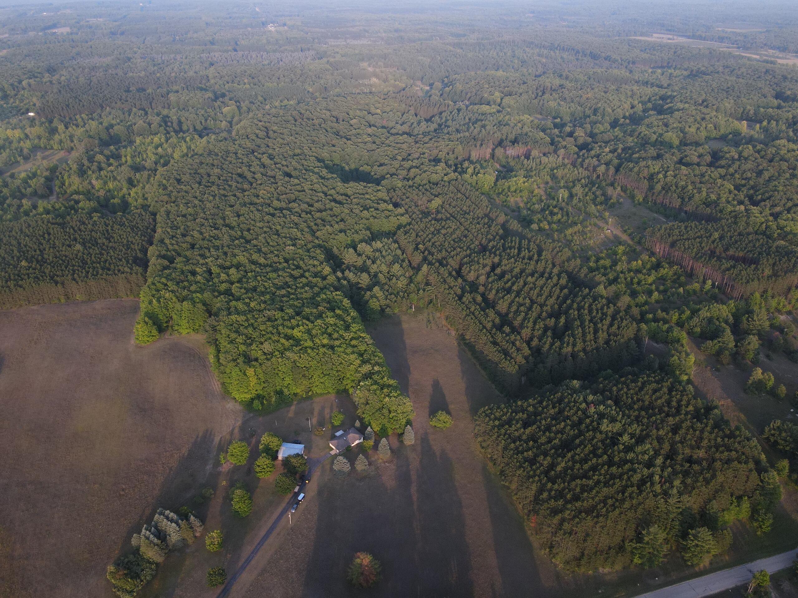 8719 Puffer Road Southwest Fife Lake, MI 49633 - Photo 10 of 126 DJI_0738
