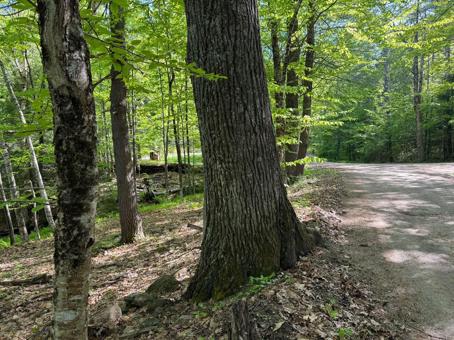 0 Peaked Hill Road Bristol, NH 03222 - Photo 25 of 33