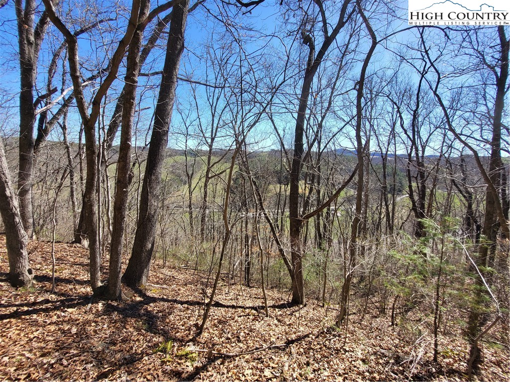Riverside Lane Crumpler, NC 28617 - Photo 1 of 29 a backyard of a house with lots of green space