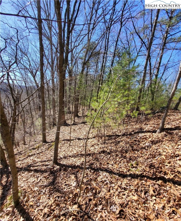 Riverside Lane Crumpler, NC 28617 - Photo 11 of 29 a view of empty yard with a tree