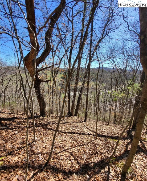 Riverside Lane Crumpler, NC 28617 - Photo 13 of 29 a view of wooden fence with two of trees