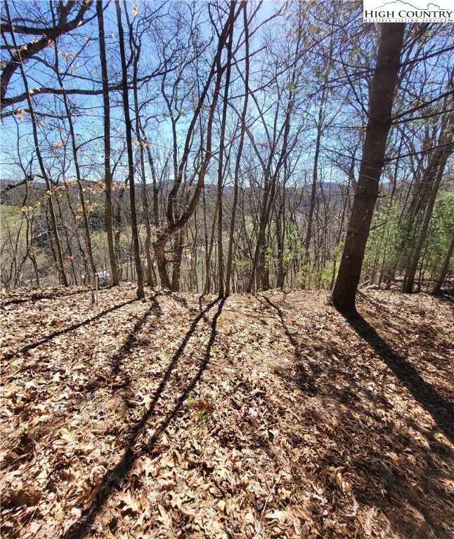 Riverside Lane Crumpler, NC 28617 - Photo 18 of 29 a view of outdoor space and yard