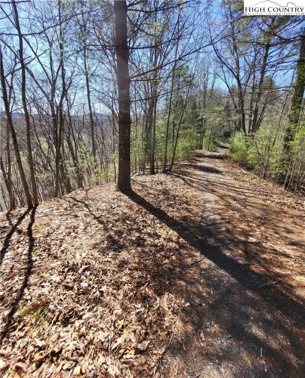 Riverside Lane Crumpler, NC 28617 - Photo 19 of 29 a view of a yard with trees
