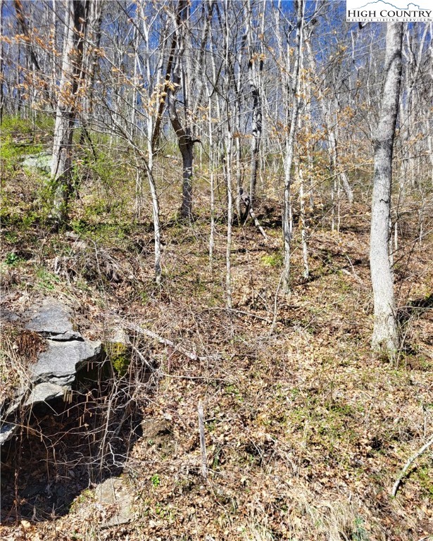 Riverside Lane Crumpler, NC 28617 - Photo 21 of 29 a view of outdoor space