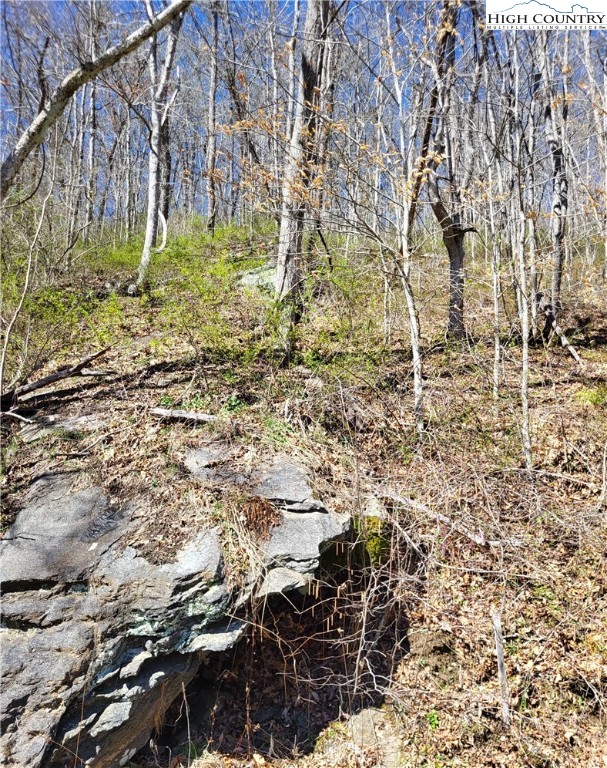 Riverside Lane Crumpler, NC 28617 - Photo 22 of 29 a backyard of a building with lots of trees