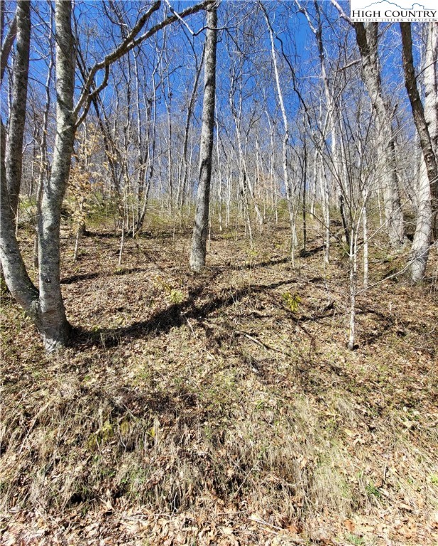 Riverside Lane Crumpler, NC 28617 - Photo 27 of 29 a view of a yard with wooden fence
