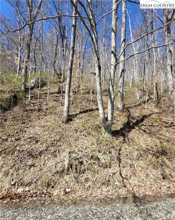 Riverside Lane Crumpler, NC 28617 - Photo 28 of 29 a view of yard with trees