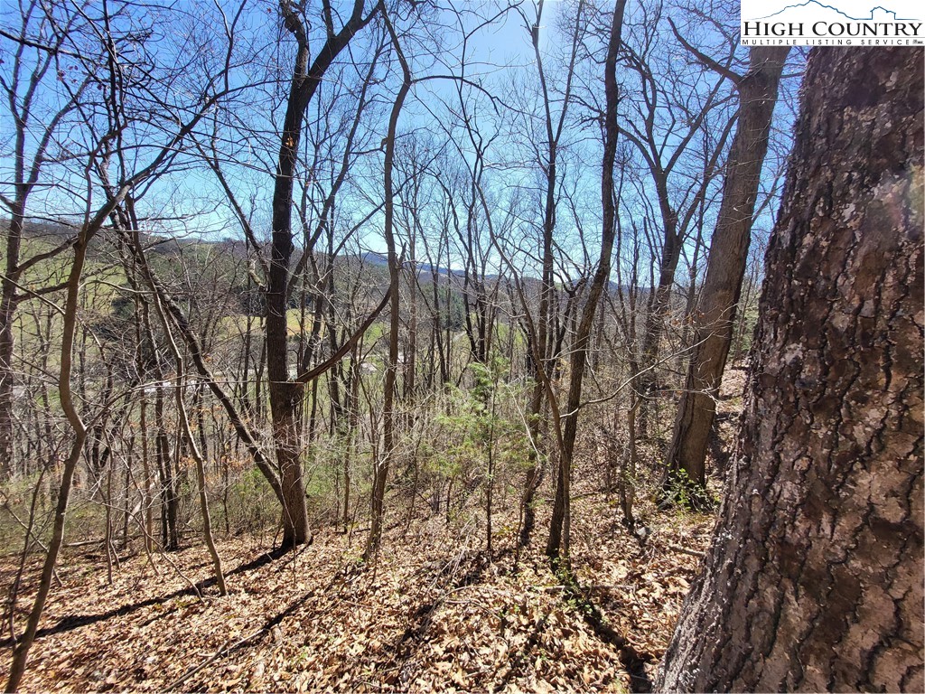 Riverside Lane Crumpler, NC 28617 - Photo 3 of 29 a view of a forest
