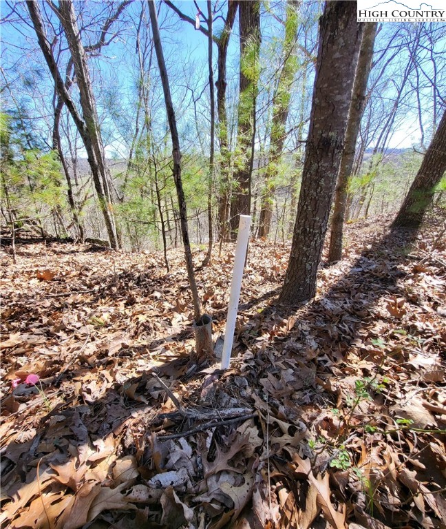 Riverside Lane Crumpler, NC 28617 - Photo 8 of 29