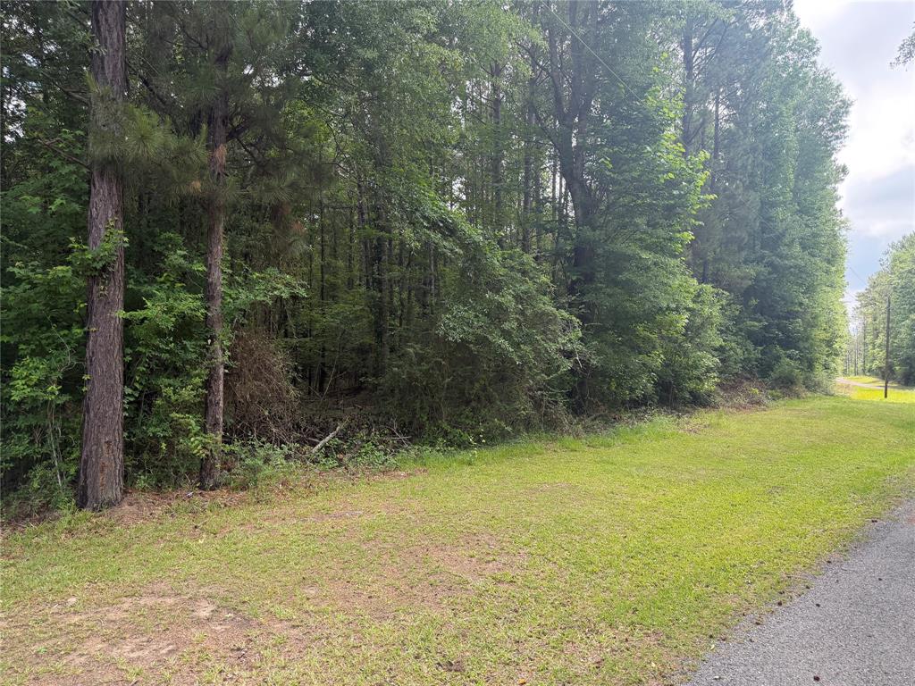 104 English Crossing Road Jonesboro, LA 71251 - Photo 2 of 2