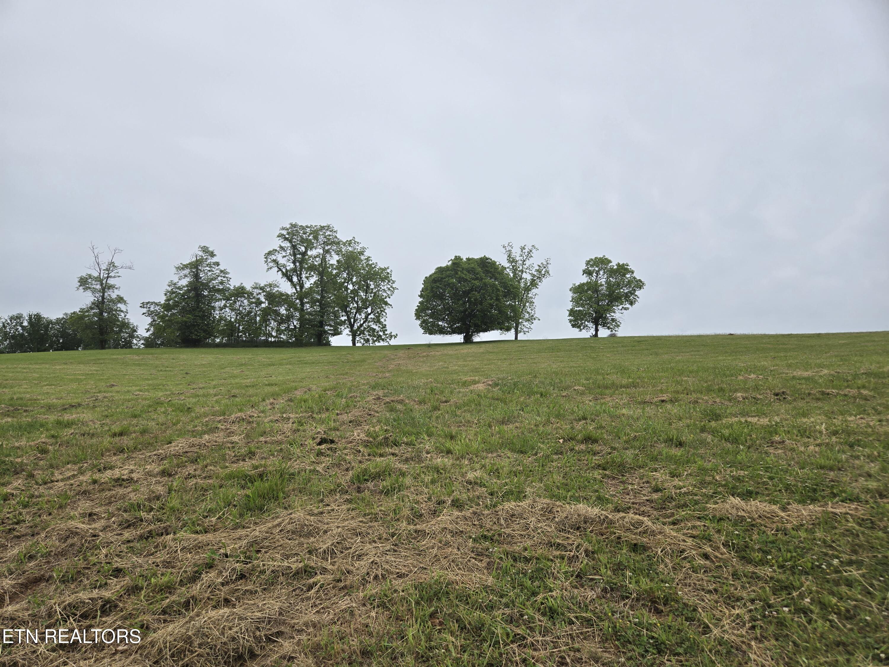 Lot 267 Waterview Way Morristown, TN 37814 - Photo 2 of 10 1000001384