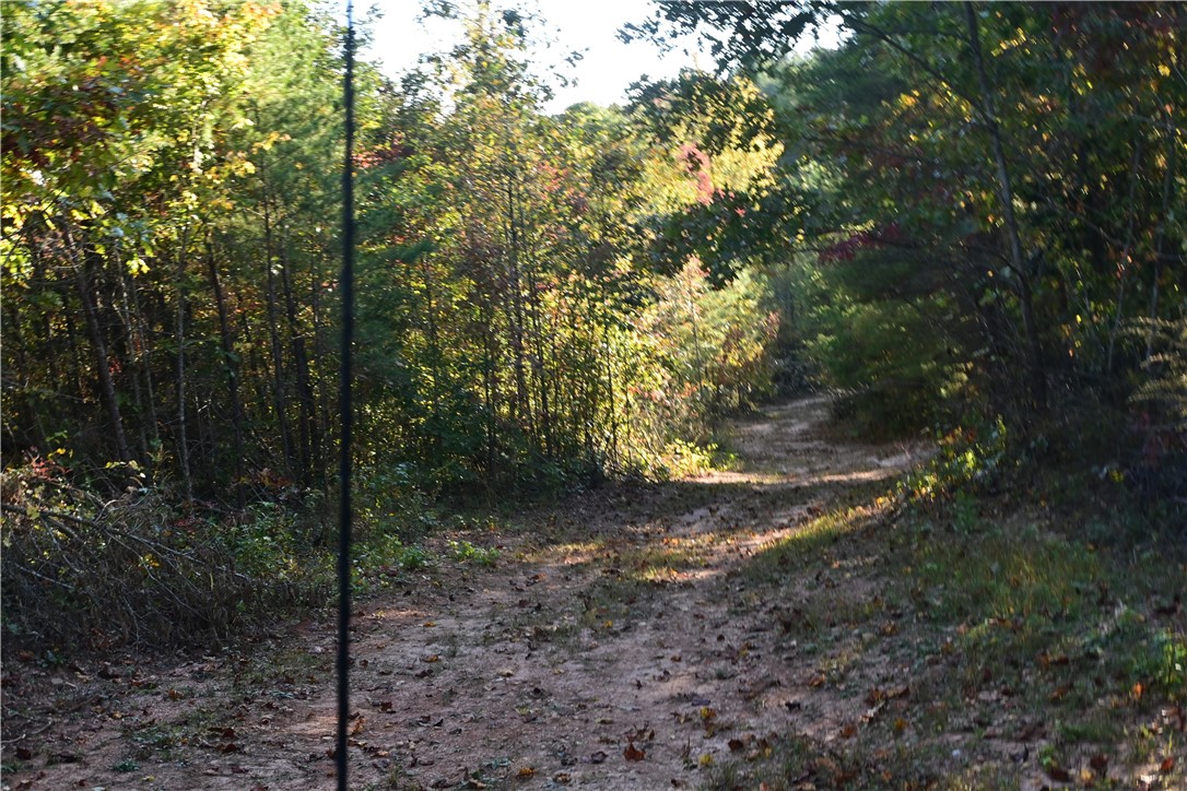 122 Spider Valley Road Long Creek, SC 29658 - Photo 11 of 20 Road leading to stream