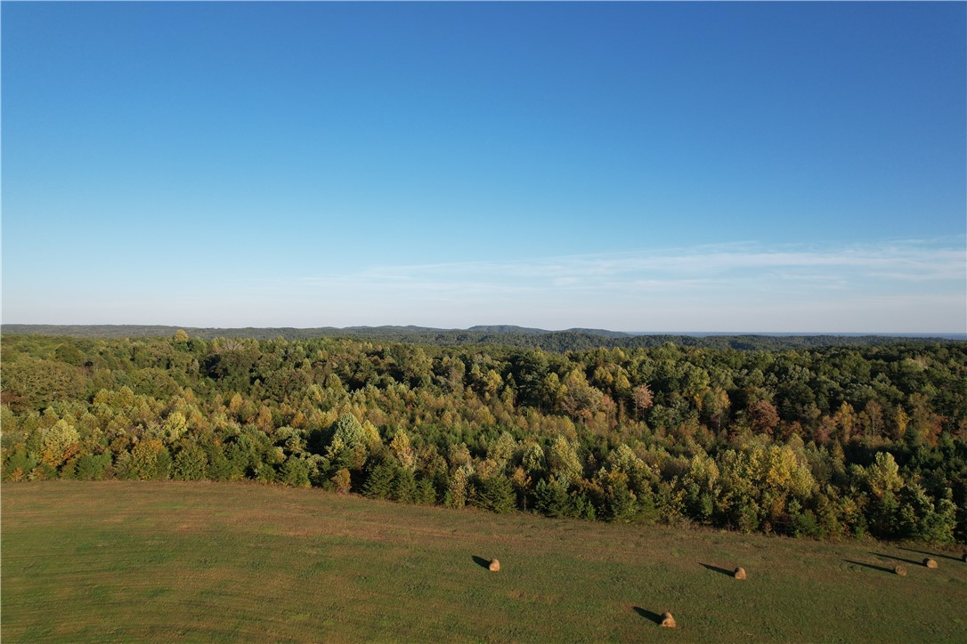 122 Spider Valley Road Long Creek, SC 29658 - Photo 16 of 20 View of woods that are part of 21A