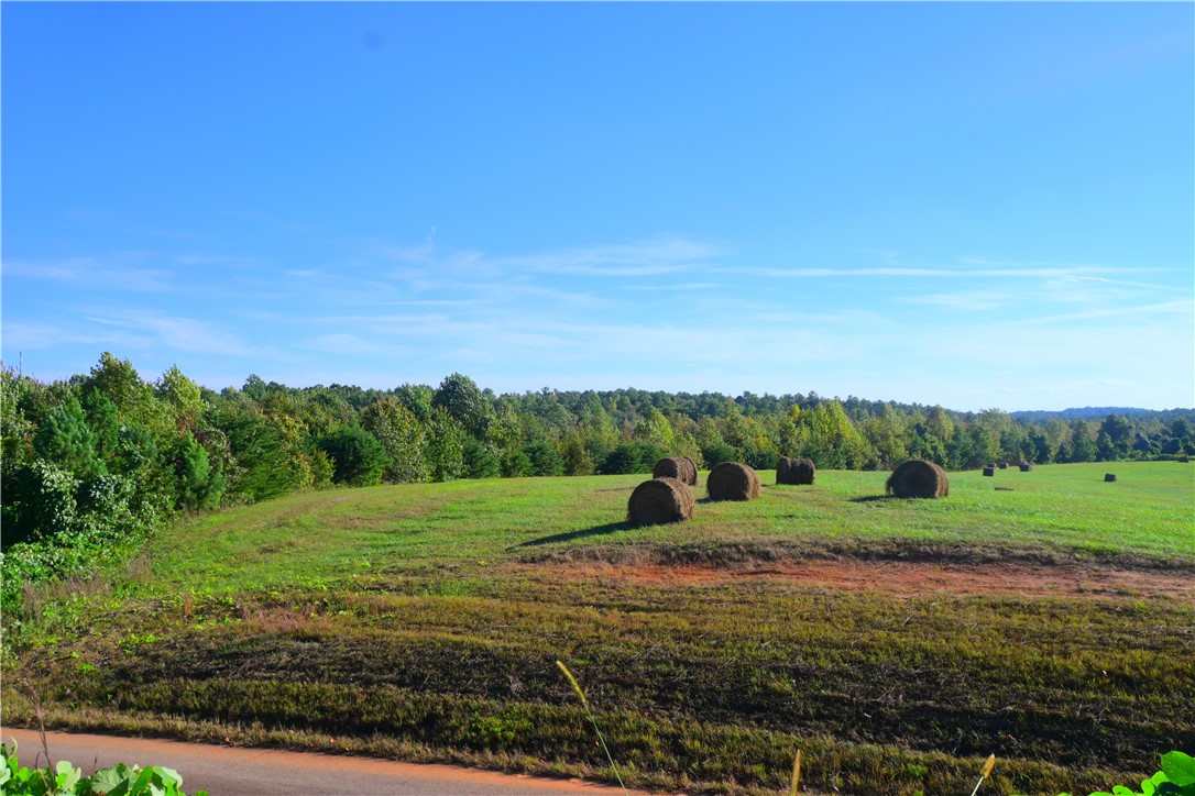 122 Spider Valley Road Long Creek, SC 29658 - Photo 4 of 20 View from across the road