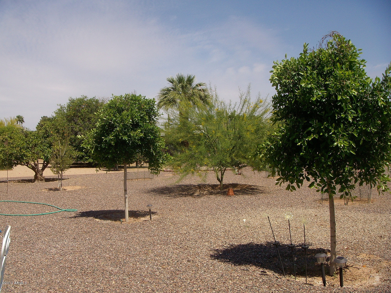 11038 West Oak Ridge Road Sun City, AZ 85351 - Photo 19 of 20 UPDATED LANDSCAPING