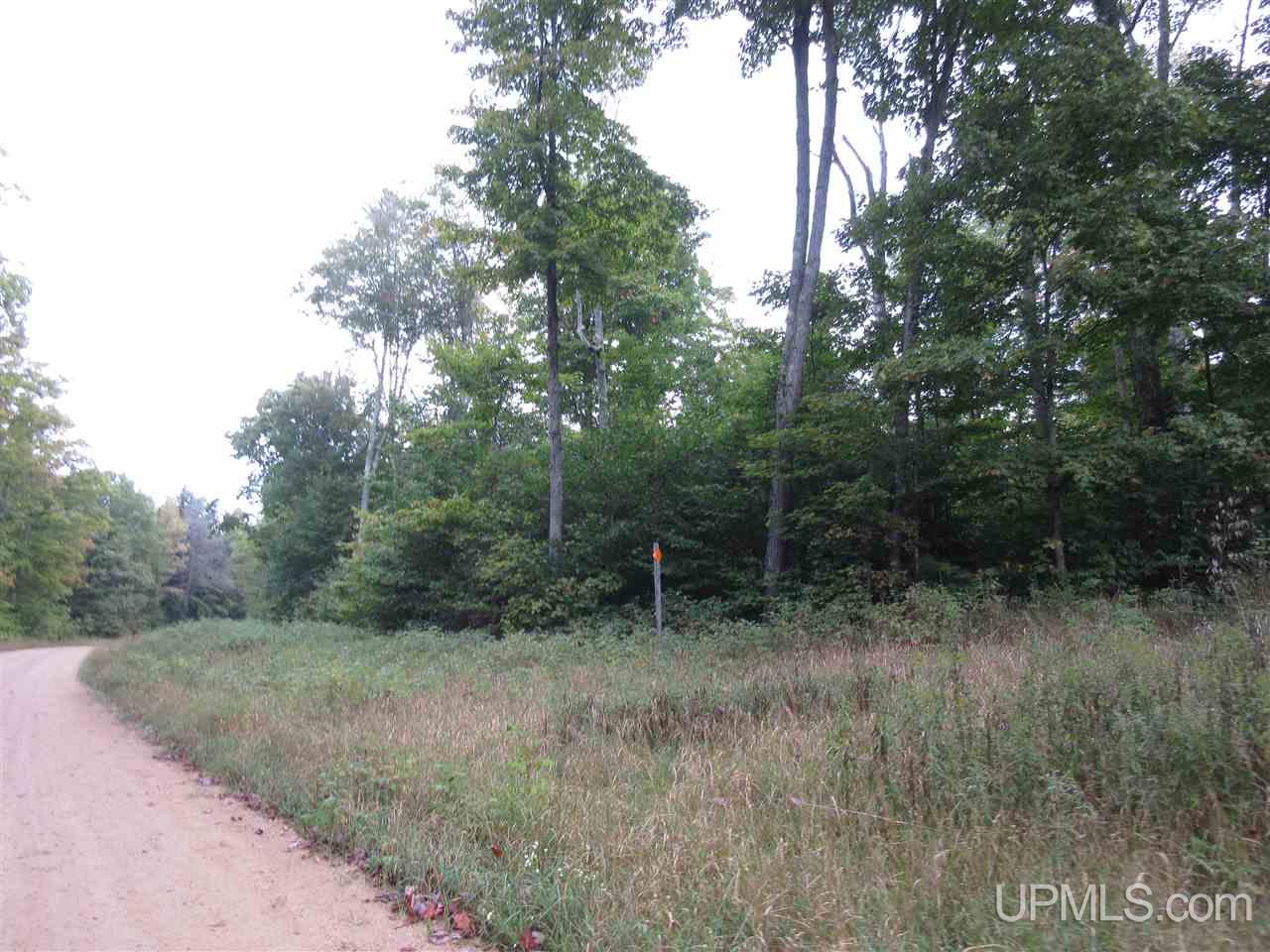 6736 North Co Road Manistique, MI 49854 - Photo 15 of 27