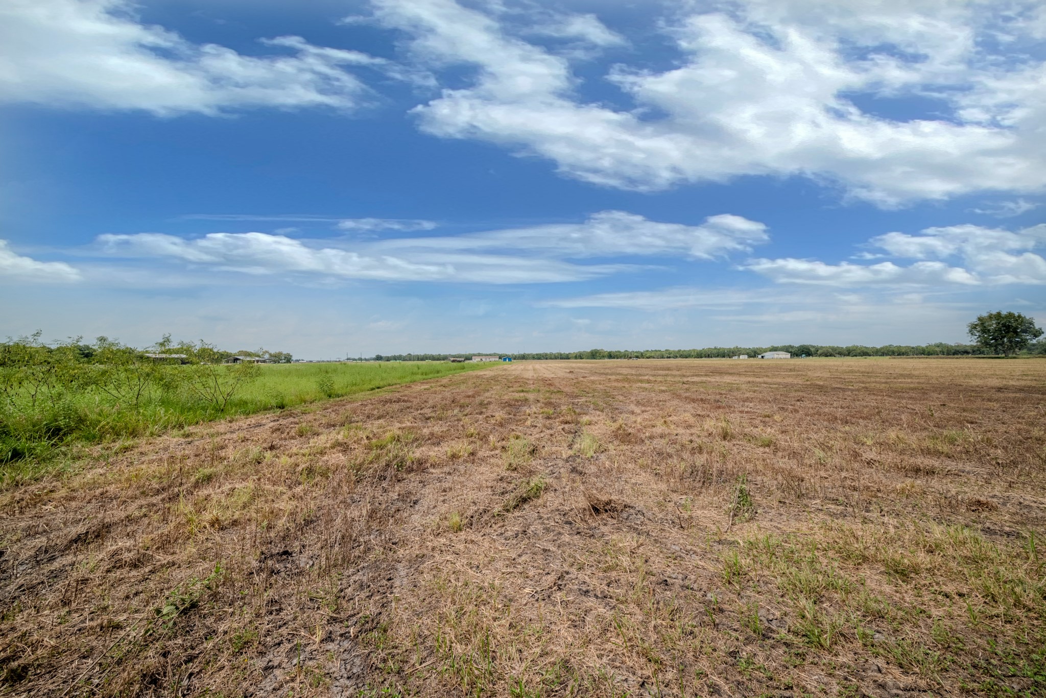 3 Charlie Meyer Road Damon, TX 77430 - Photo 17 of 38 a view of yard with ocean view