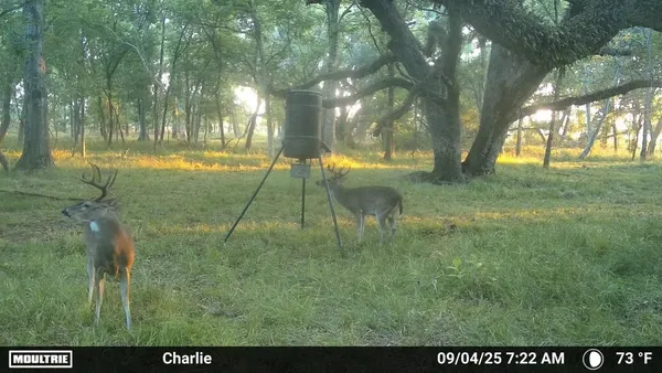 $305,000 | 3 Charlie Meyer Road, Damon, TX 77430