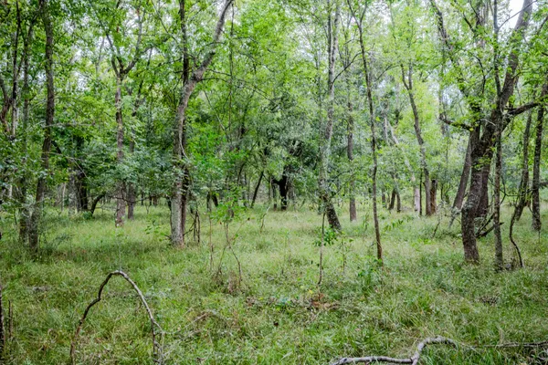 $305,000 | 3 Charlie Meyer Road, Damon, TX 77430