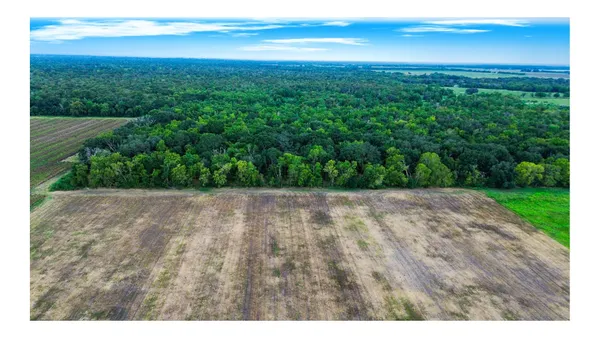 $305,000 | 3 Charlie Meyer Road, Damon, TX 77430
