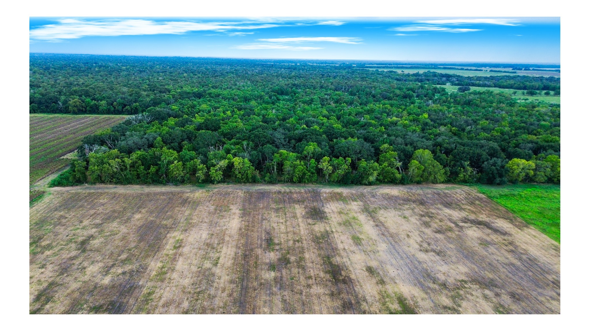 3 Charlie Meyer Road Damon, TX 77430 - Photo 33 of 38 a view of outdoor space and yard