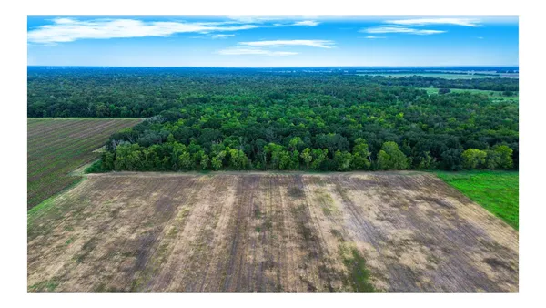 $305,000 | 3 Charlie Meyer Road, Damon, TX 77430