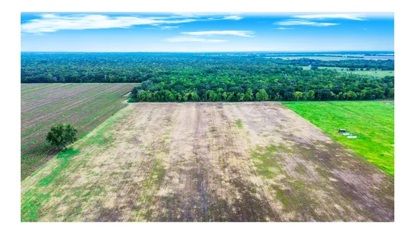 $305,000 | 3 Charlie Meyer Road, Damon, TX 77430