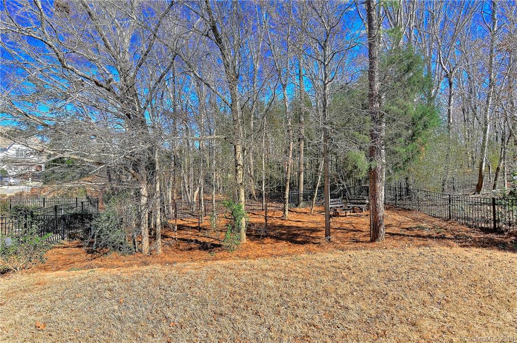 2007 Oakmere Road Waxhaw, NC 28173 - Photo 27 of 36 Gallery Image 27